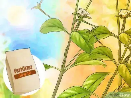 Image titled Fertilize Lantana Step 7