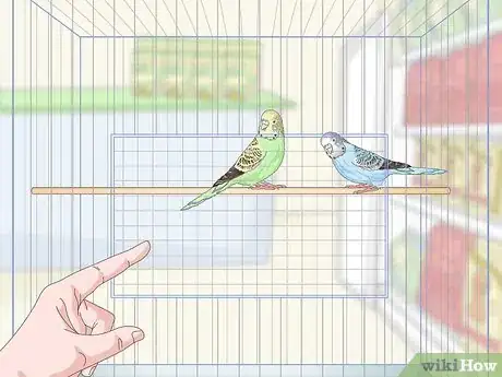 Image titled Own a Parakeet Step 2