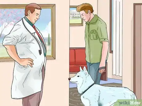 Image titled Take Care of an Alaskan Husky Step 16