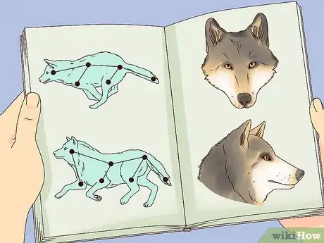 Image titled Become a Wolf Expert Step 2