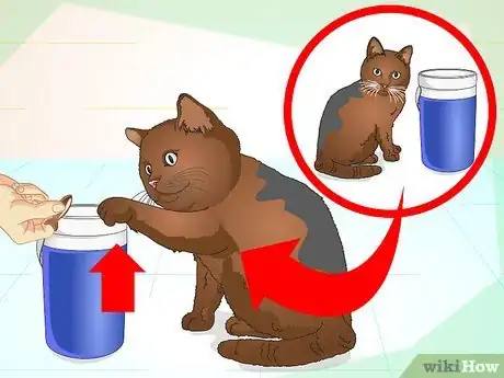 Image titled Teach Your Cat to Do Tricks Step 12