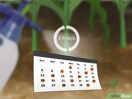 Image titled Control Corn Ear Worms Step 8