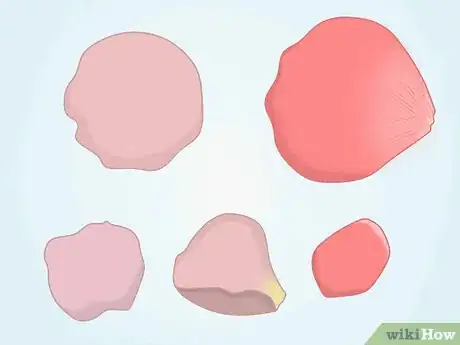 Image titled Draw a Rose Petal Step 6