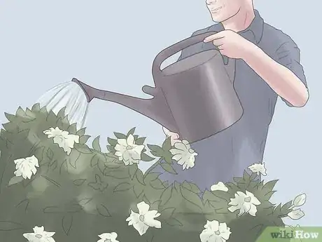 Image titled Grow Gardenias Step 9