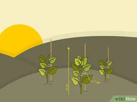 Image titled Prune Dahlias Step 01