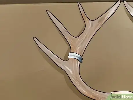 Image titled Score Mule Deer Antlers Step 16