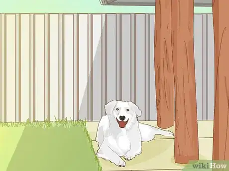 Image titled Keep a Dog Cool in Hot Weather Step 5