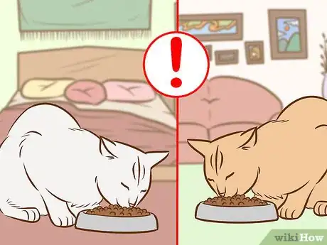 Image titled Referee Two Irritable Cats That Don't Get Along Step 12