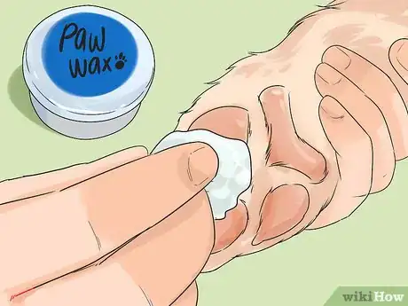 Image titled Help Your Older Dog Navigate Slippery Floors Step 7