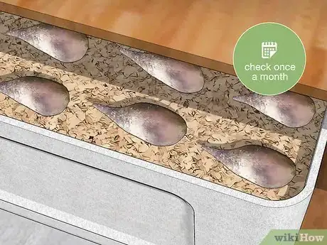 Image titled Cut Dahlia Tubers Step 16