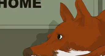 Handle Holiday Travel with Your Pet