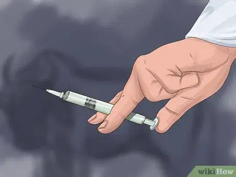 Image titled Give Cattle Hormones Step 21