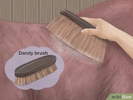 Image titled Brush a Horse Step 7