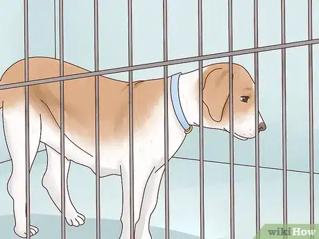 Image titled Recognize Signs of Anxiety in Dogs Step 3