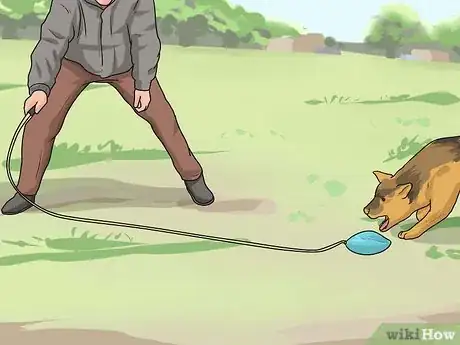 Image titled Keep Your Dog from Being Bored Step 9