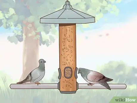 Image titled Encourage Doves to Coo Step 5