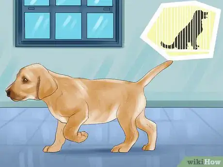 Image titled Make Your Dog Get Along With Other Dogs Step 12