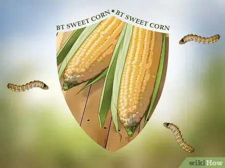 Image titled Control Corn Ear Worms Step 2