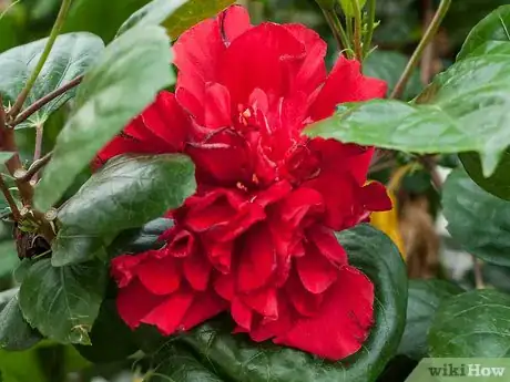 Image titled Make Floral Craft Arrangements Step 14