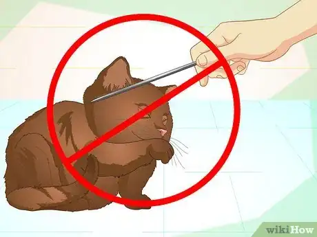 Image titled Teach Your Cat to Do Tricks Step 8
