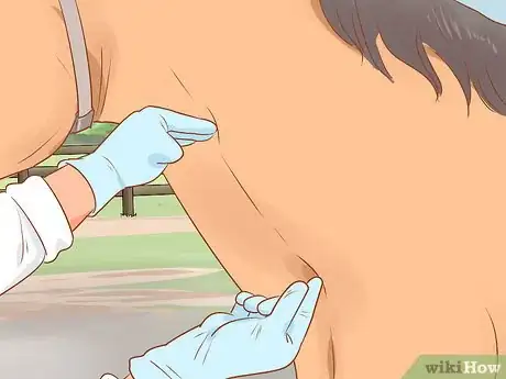 Image titled Draw a Horse's Blood Step 5