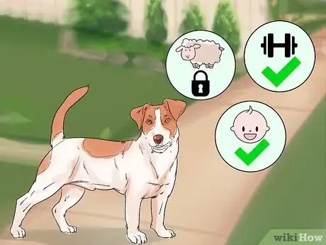Image titled Choose an Active Dog Step 11
