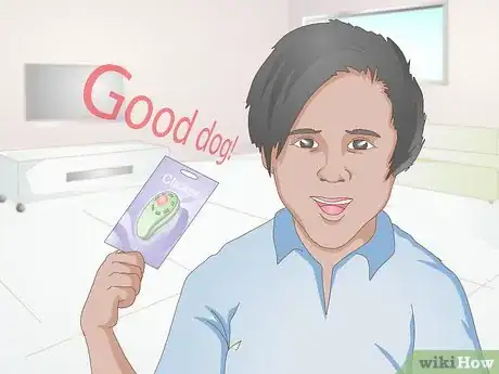 Image titled Train a Dog to Stand Up Step 1