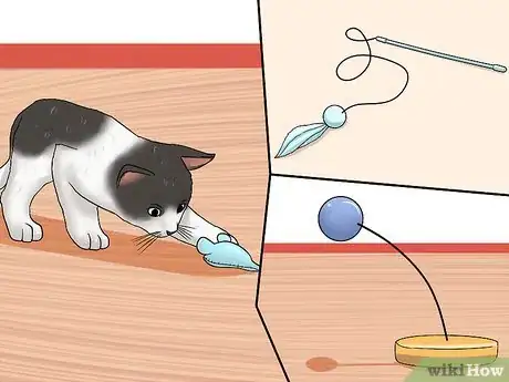 Image titled Get a Grumpy Cat to Like You Step 5