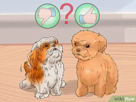 Image titled Get Along with Your Dog Step 14