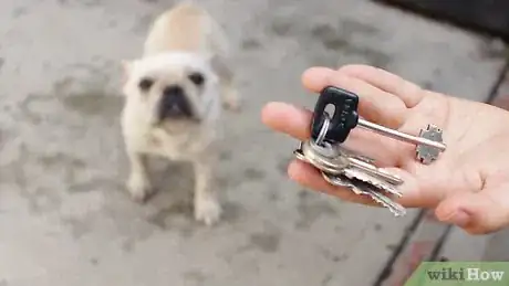 Image titled Help Puppies Learn Separation Skills Step 7