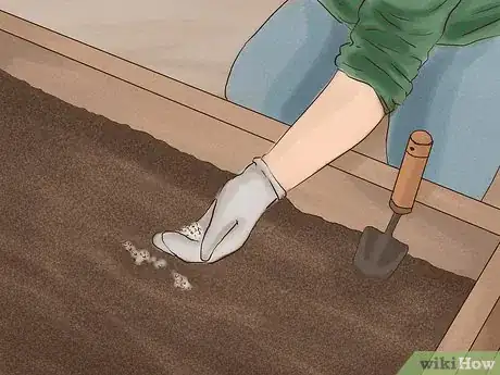 Image titled Start a Vegetable Garden Step 6
