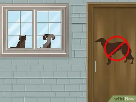 Image titled Care for a Borzoi Step 12