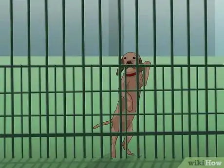 Image titled Attract Squirrels Step 9