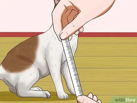Image titled Measure Clothing for Your Cat Step 4