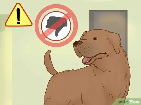Image titled Be Patient with Your Dog Step 8