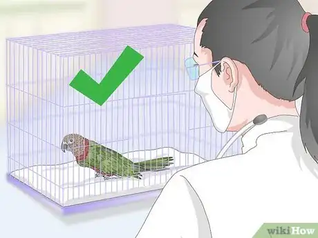 Image titled Treat Infections in Hawk Headed Parrots Step 8