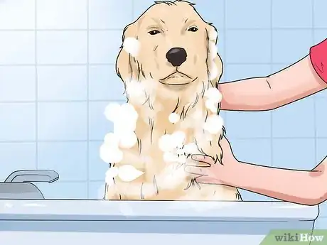 Image titled Groom a Longhair Dog Step 7