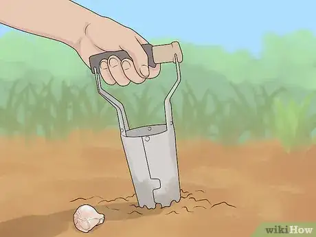 Image titled Plant Bulbs in Grass Step 14