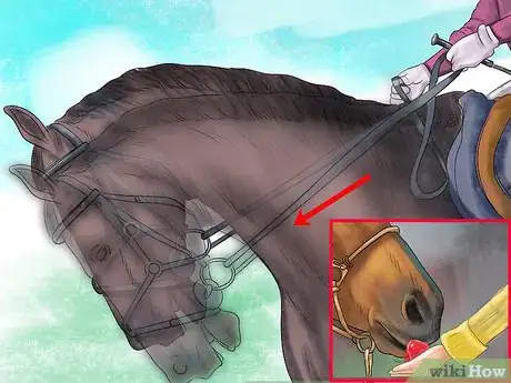 Image titled Get a Horse to Put Its Head Down Step 13