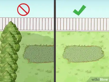 Image titled Get Rid of Ground Ivy Step 9