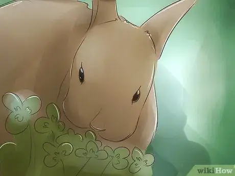 Image titled Hunt Rabbit Step 7