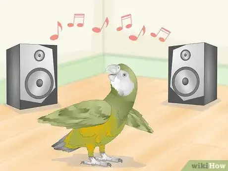 Image titled Keep a Senegal Parrot Entertained Step 12