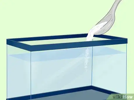 Image titled Treat Fungal Infections in Fish Step 4
