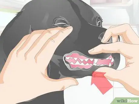 Image titled Choose Tartar Control Dog Treats Step 4