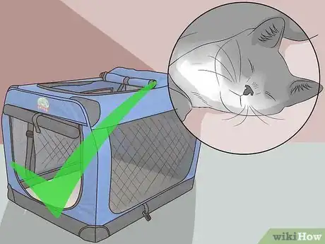 Image titled Keep a Cat Safe Step 7