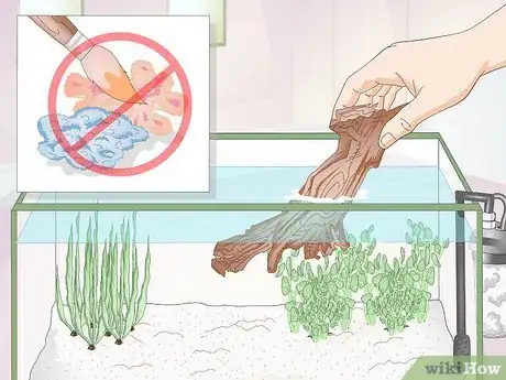 Image titled Creatively Decorate a Freshwater Fish Tank Step 11
