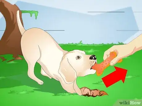Image titled Make a Puppy Stop Digging Step 4