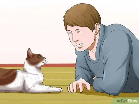 Image titled Amuse Cats Step 15