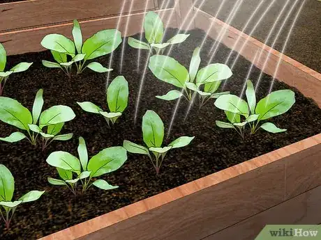 Image titled Plan a Winter Garden Step 12