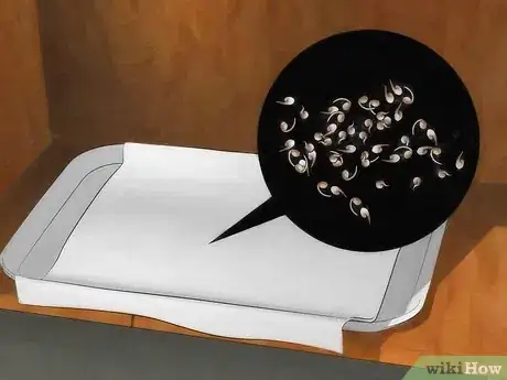 Image titled Sprout Quinoa Step 11